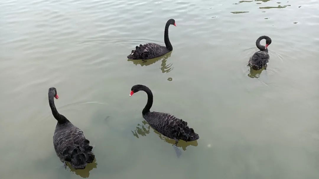厦门值得住的酒店推荐,厦门旅游酒店测评