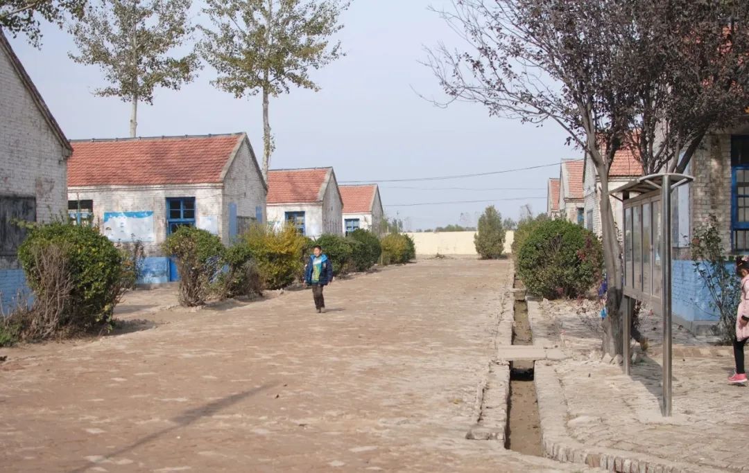 张庄小学2018年,河南社旗大冯营张庄