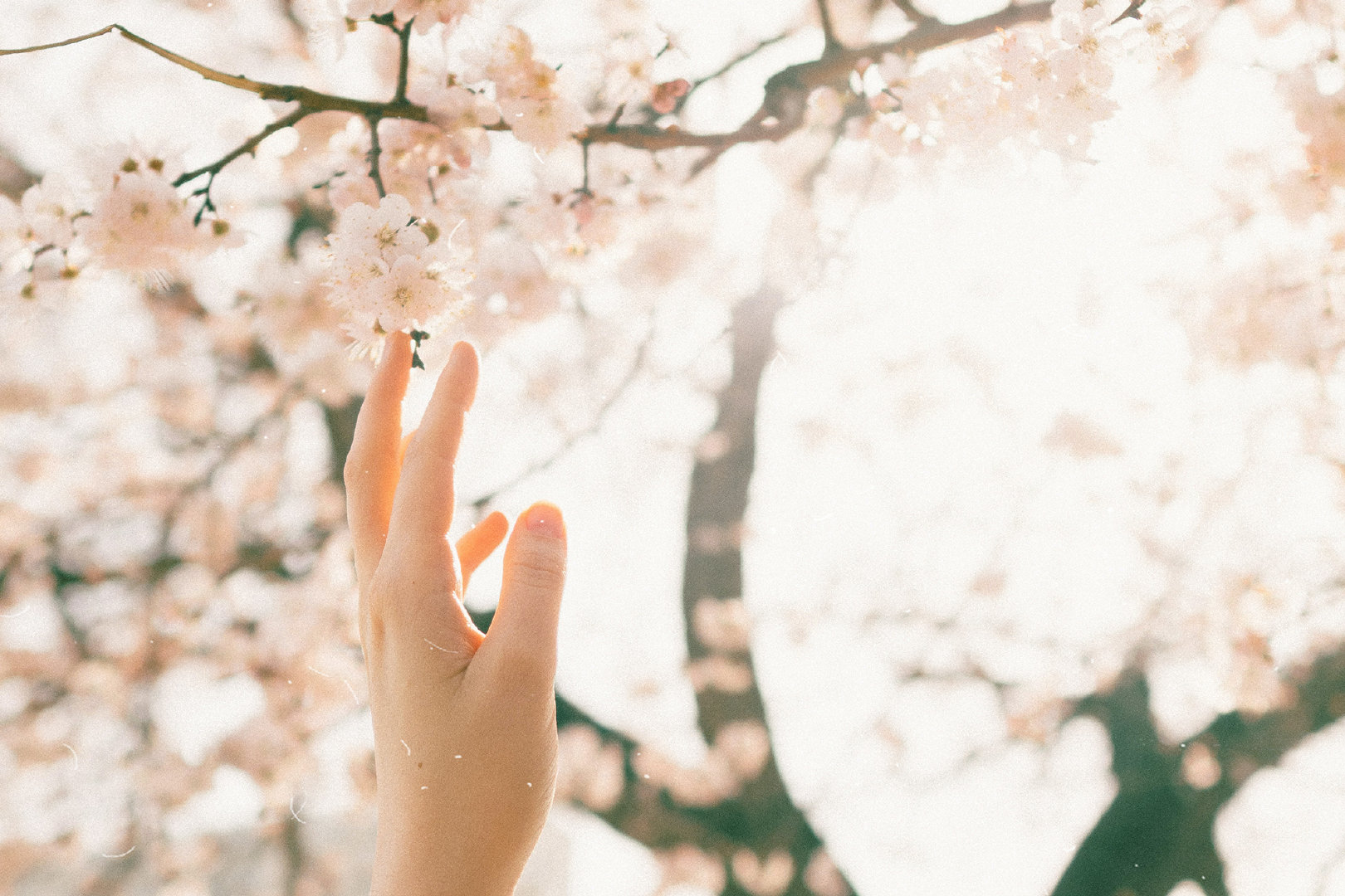 法罗力壁挂炉多少度既暖和又省气,法罗力壁挂炉操作流程