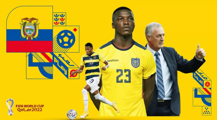 卡塔尔世界杯32强巡礼荷兰,2022卡塔尔世界杯巡礼合集