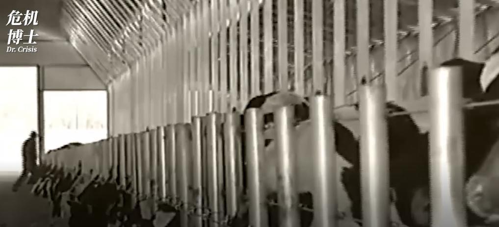 蒙牛集团与中国奶业,蒙牛和伊利谁才是老大