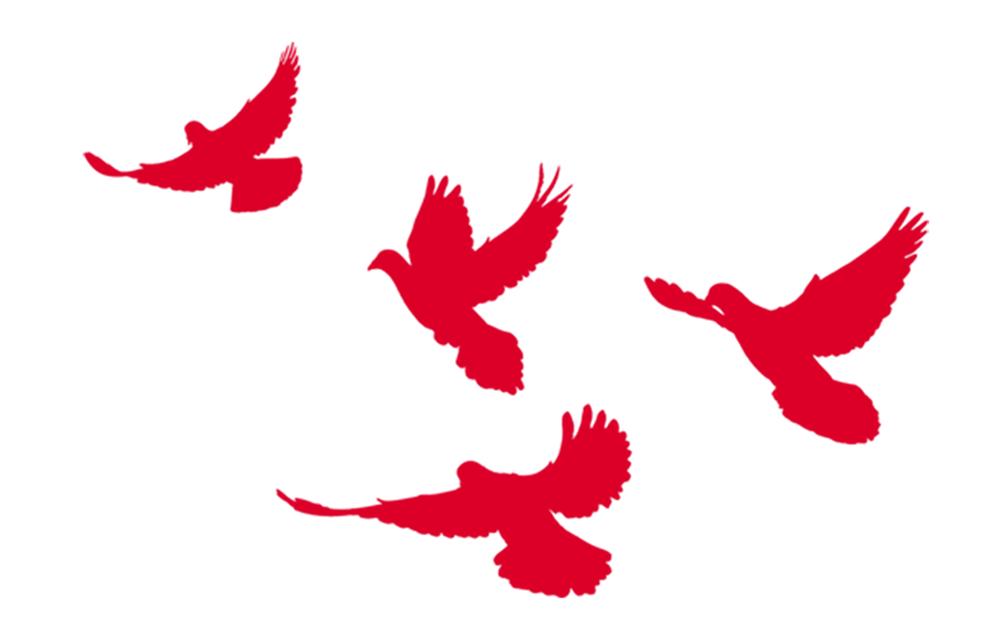 喜迎党的二十大情暖教师节,喜迎二十大优秀教师风采展示通知