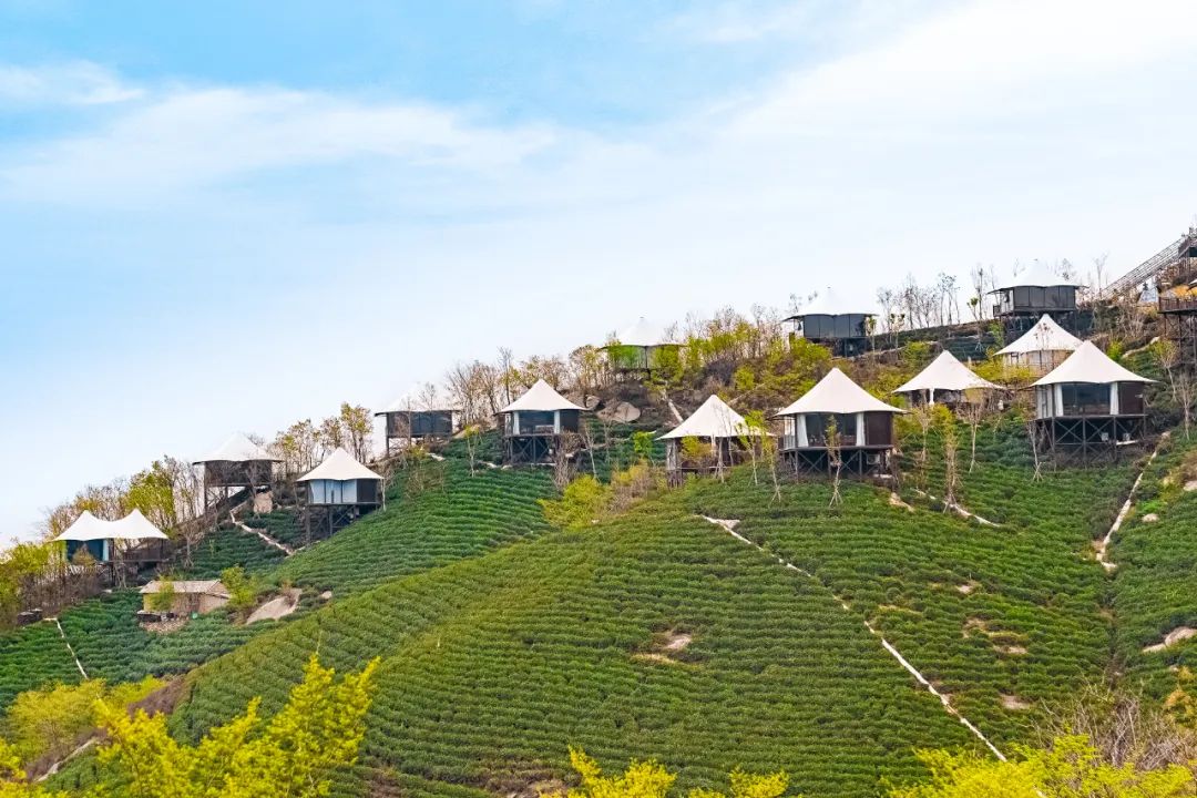 暑假信阳免费景区推荐,信阳新县自驾游免费景区攻略