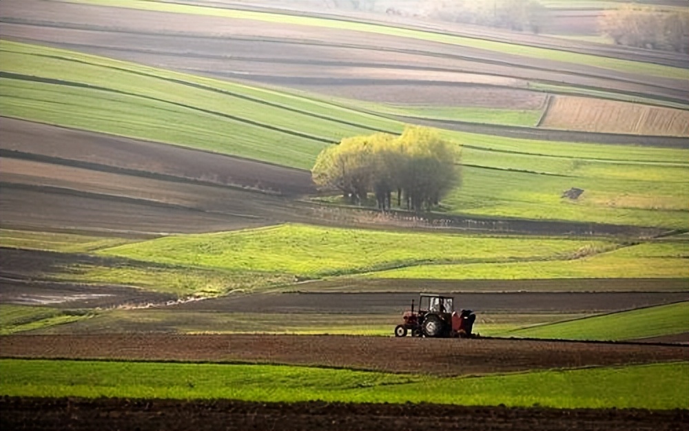 波兰经济发展前景如何,波兰加入欧盟后经济发展