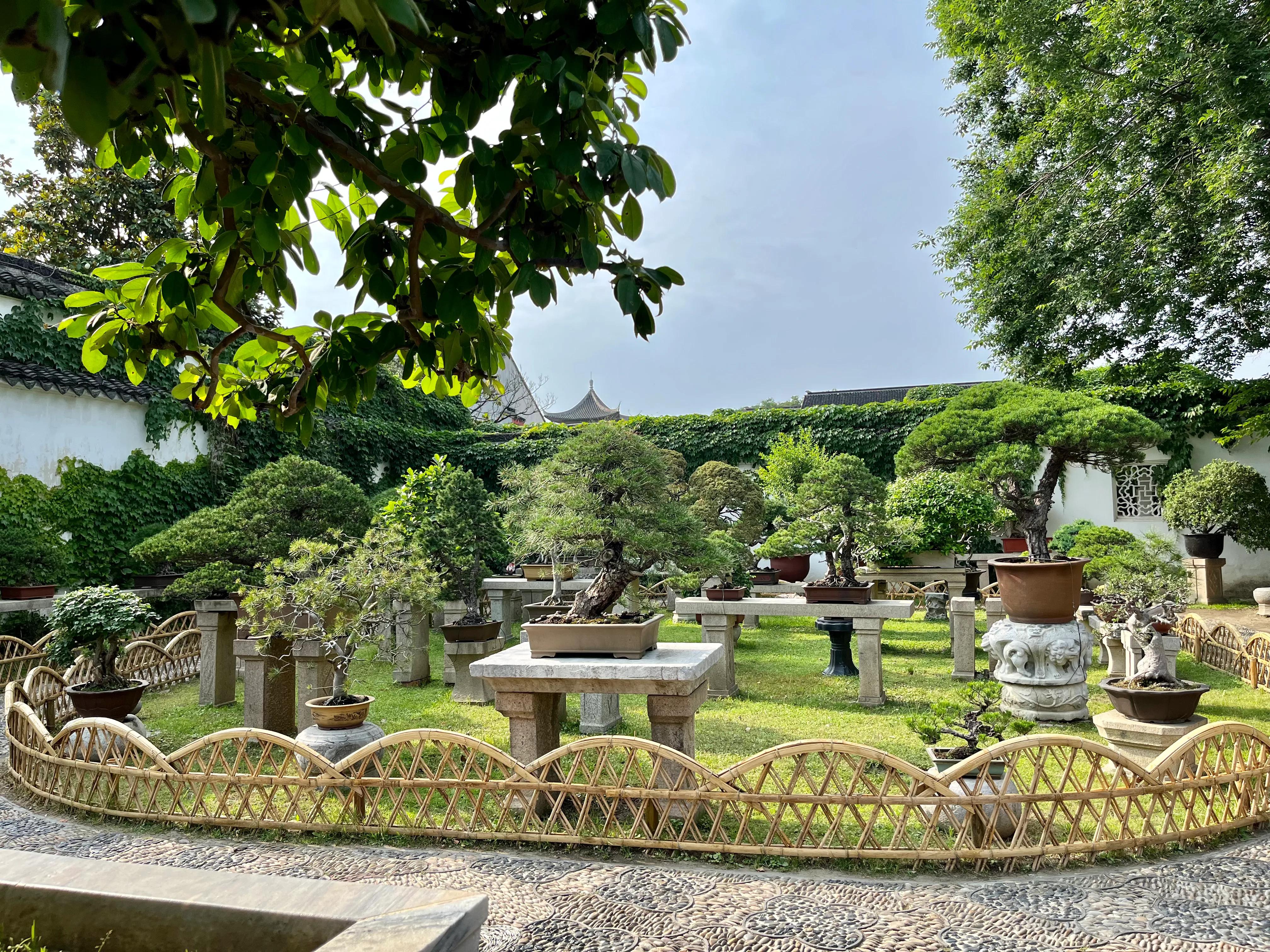 拙政园大隐隐于市,大隐隐于市安享中式庭院之美