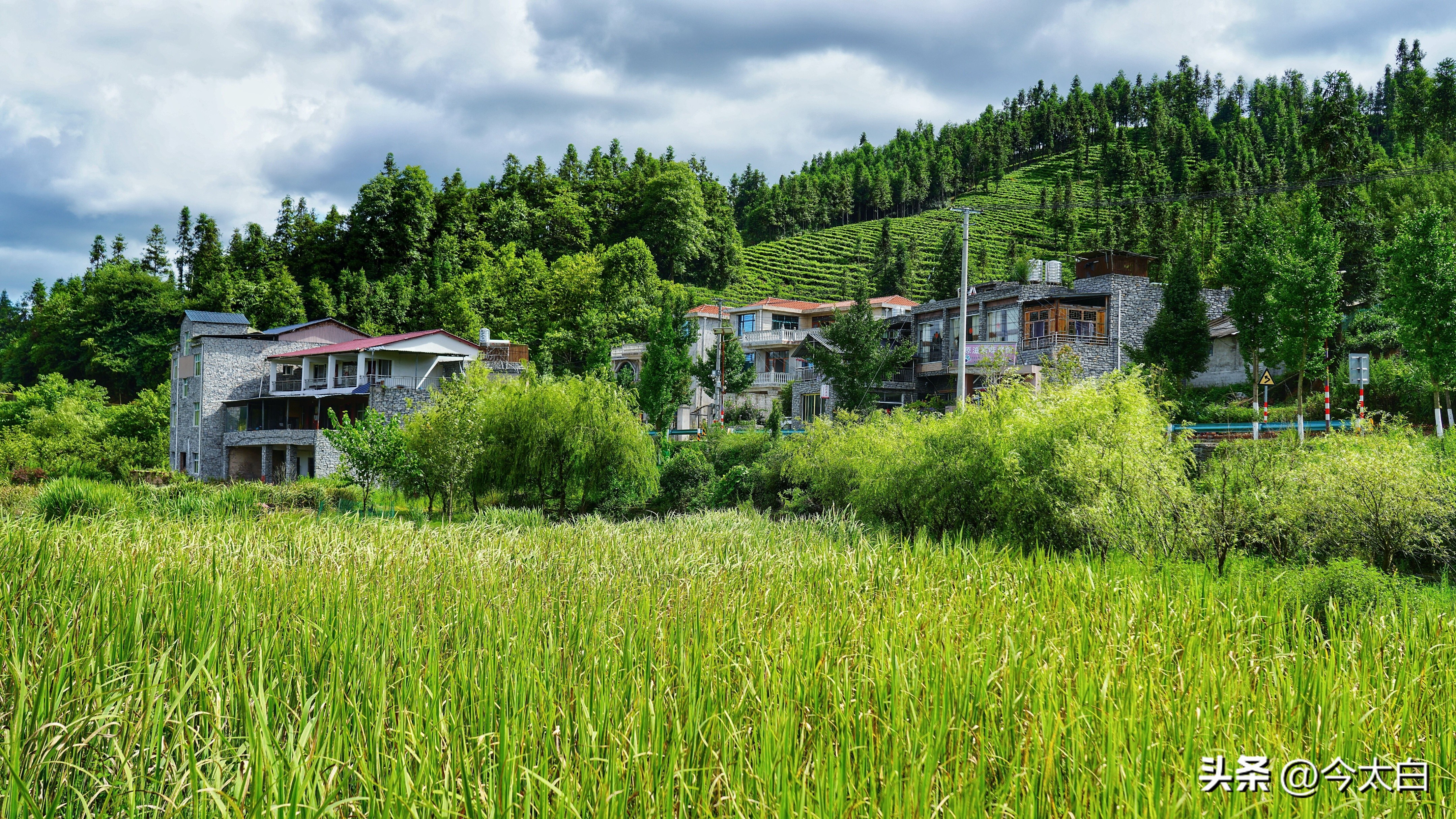 比黄果树瀑布还高8米,比黄果树还高6倍的瀑布