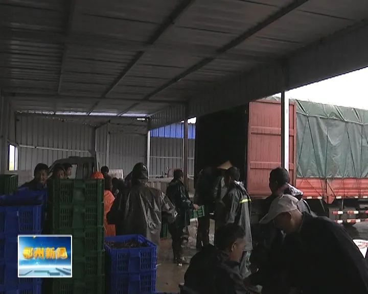 鄂州市泽林镇最新消息,鄂城区泽林镇泽林街