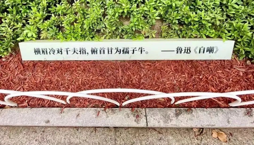 四川北路街道发布儿童友好地图，五十个点位有哪些？