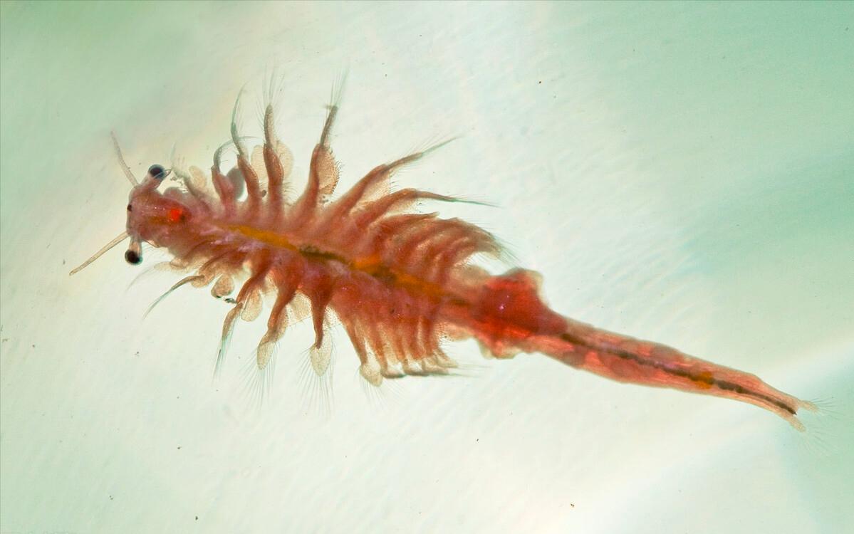 中国死海运城盐湖多大面积,中国死海运城盐湖图片