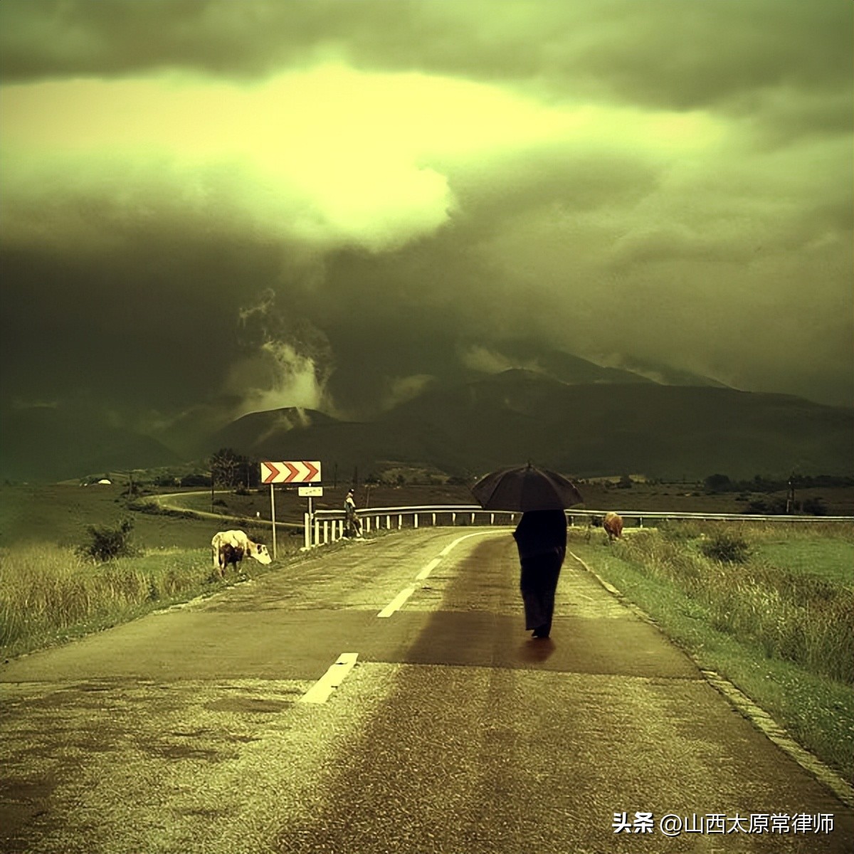 房产法院强制执行流程,法院强制执行公司的流程