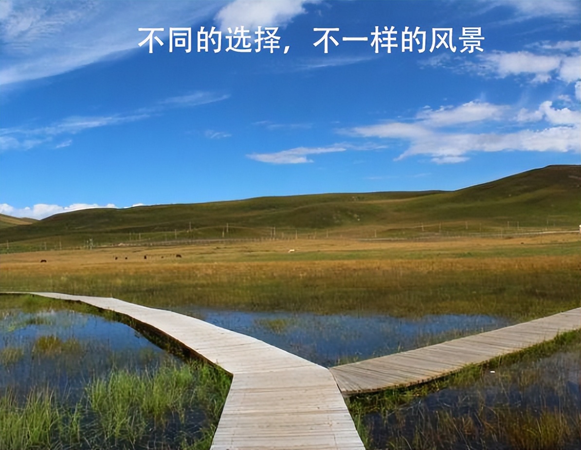 领导走技术还是走管理路线,人到中年是走技术路线还是管理