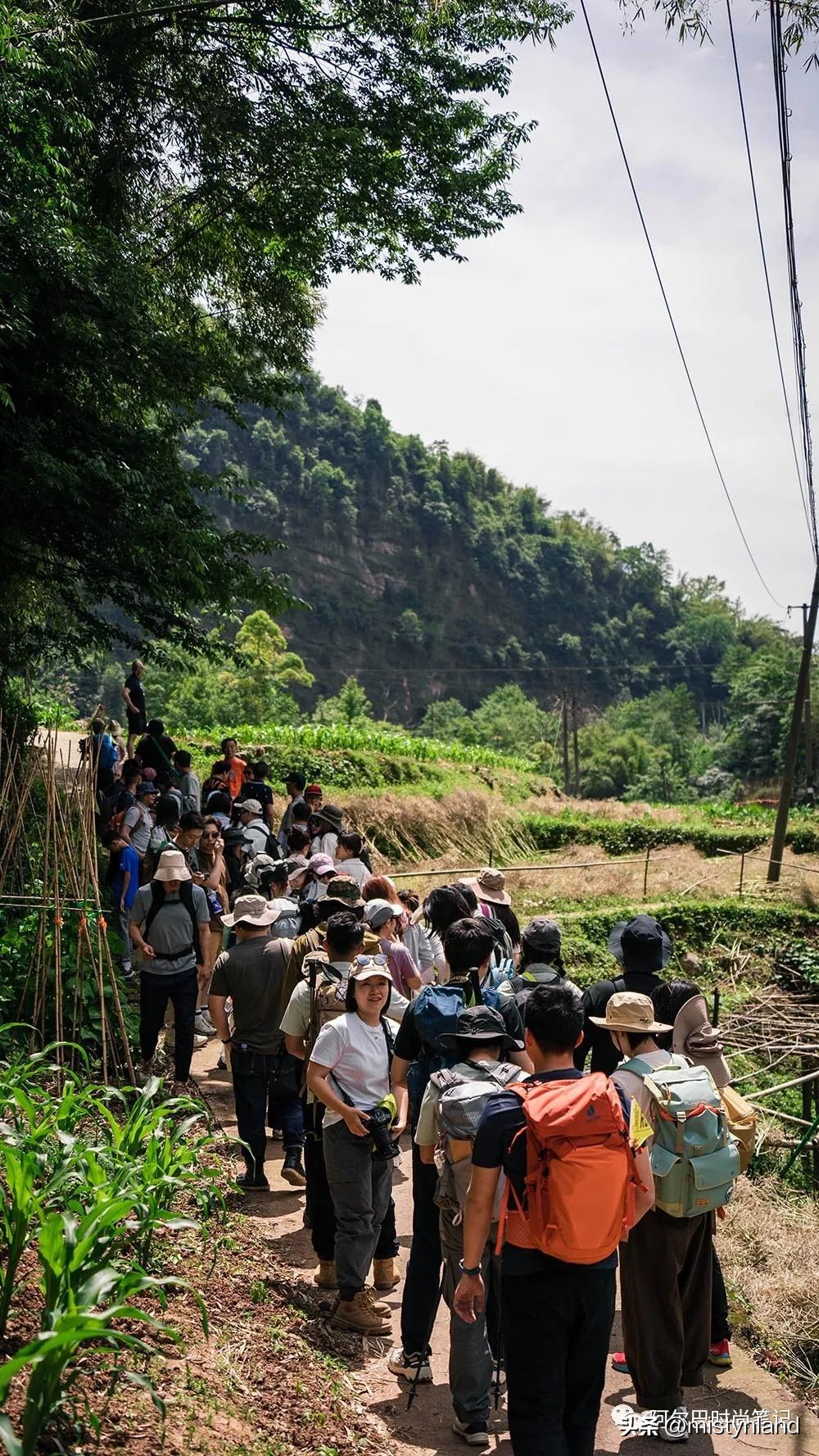 kolonsport可隆武汉,kolonsport可隆广州