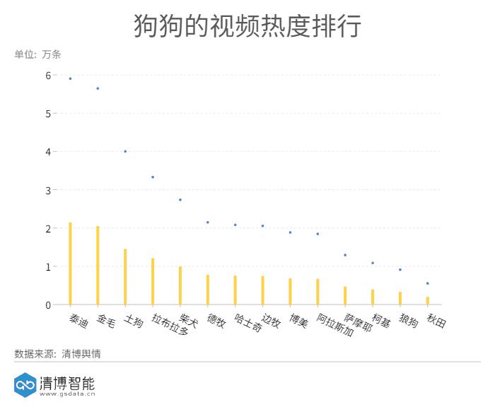 最可爱的萌宠排行榜,萌宠可爱程度排行榜