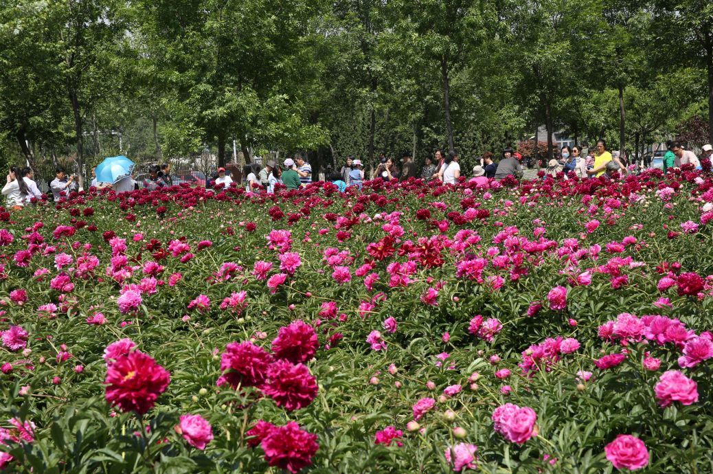 疫情结束后，每个秦皇岛人都想完成的50件小事！