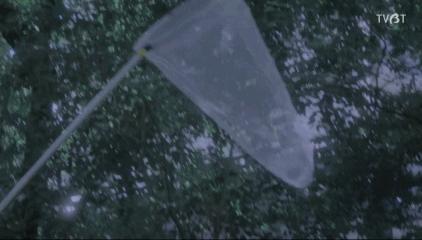 脑洞剧更新！富豪沦为宠物，美*上门女**服务？网友：做梦都不敢想