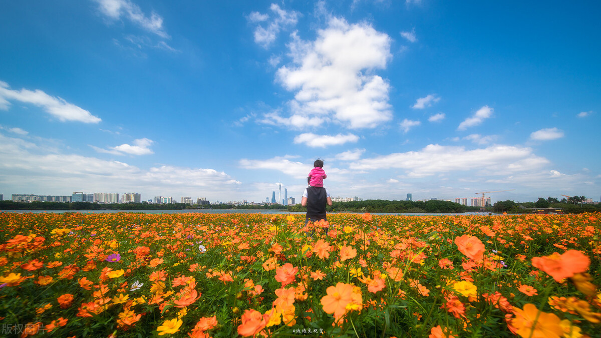 国内外最赚钱的小型农场,全国做得最好的几个精品农场