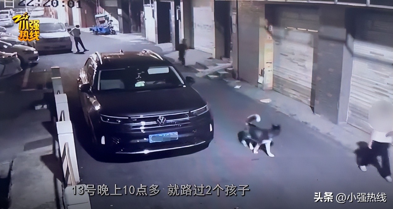 杭州重金寻狗启事,天价寻狗启事事件真相来了