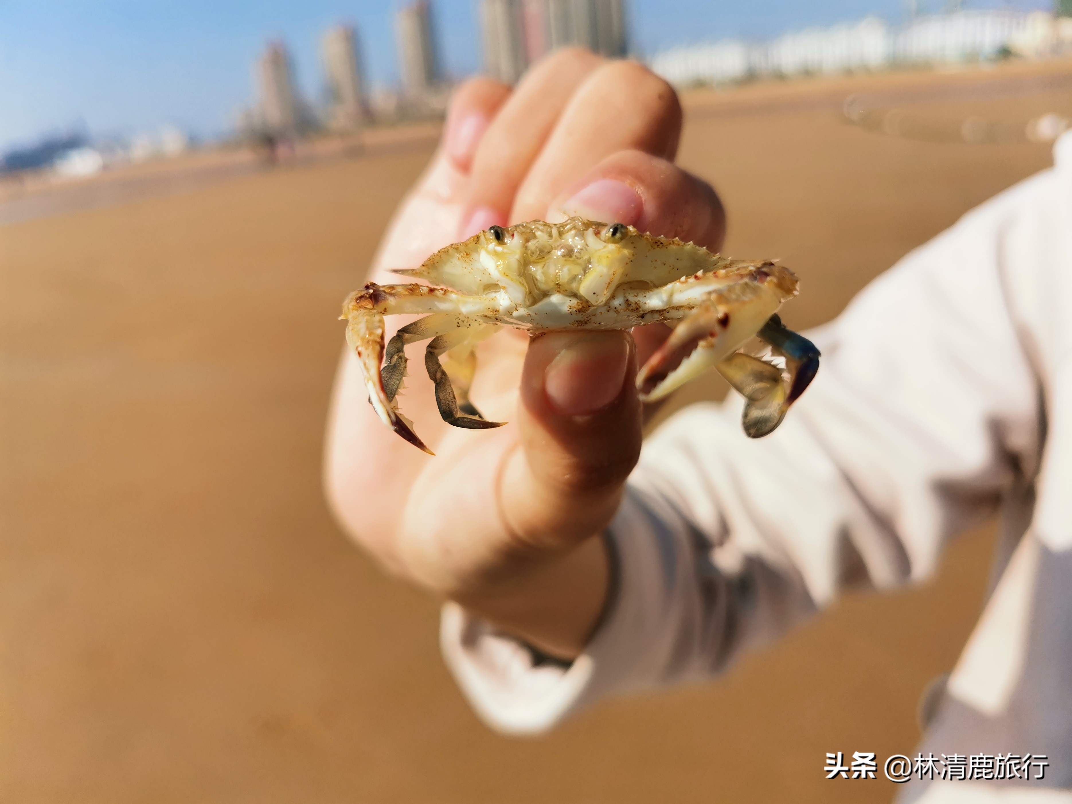 中国凉快好玩的地方,中国特别凉快的地方