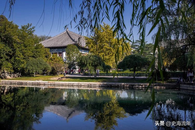 北京大学强基计划自荐信范文,强基计划考生自我陈述范文