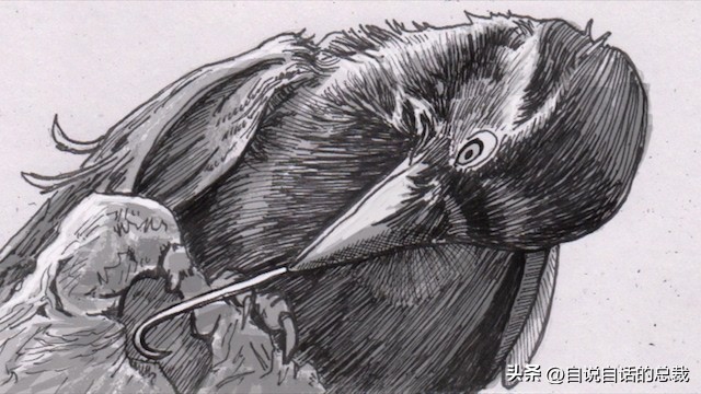 乌鸦为什么是外星人,外星人至今还未出现的5大原因