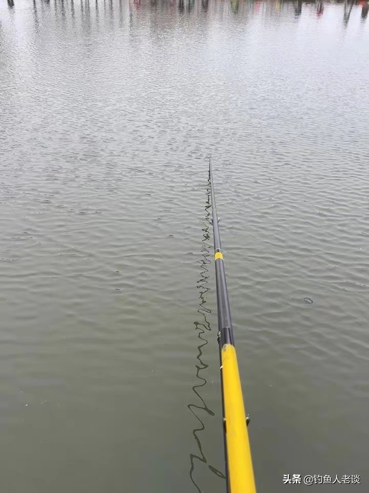 怎样选鱼竿野钓选什么鱼竿,钓鱼竿入门竿怎么选择最好