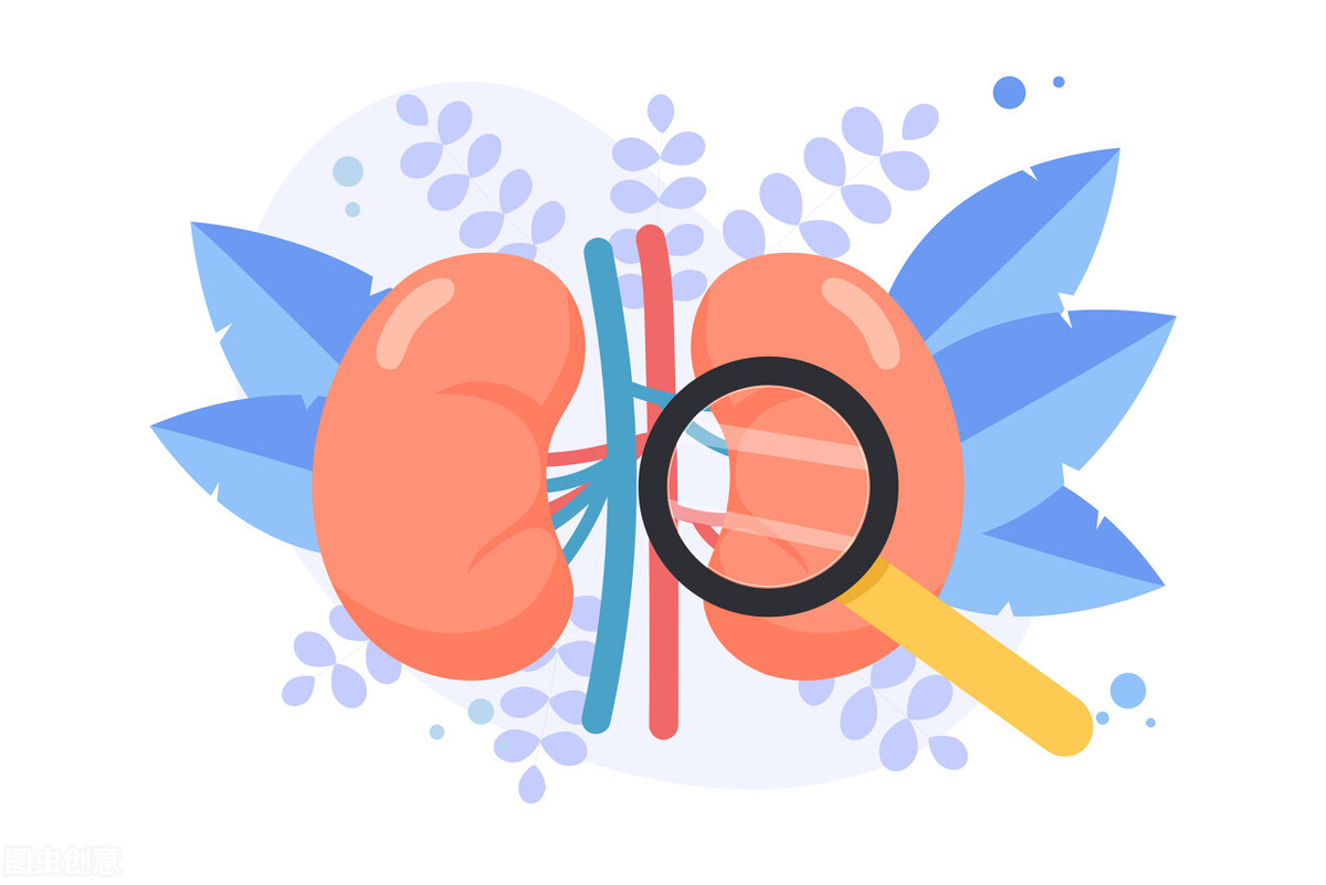 不吃药怎样降尿蛋白,不想肾病发展到尿毒症