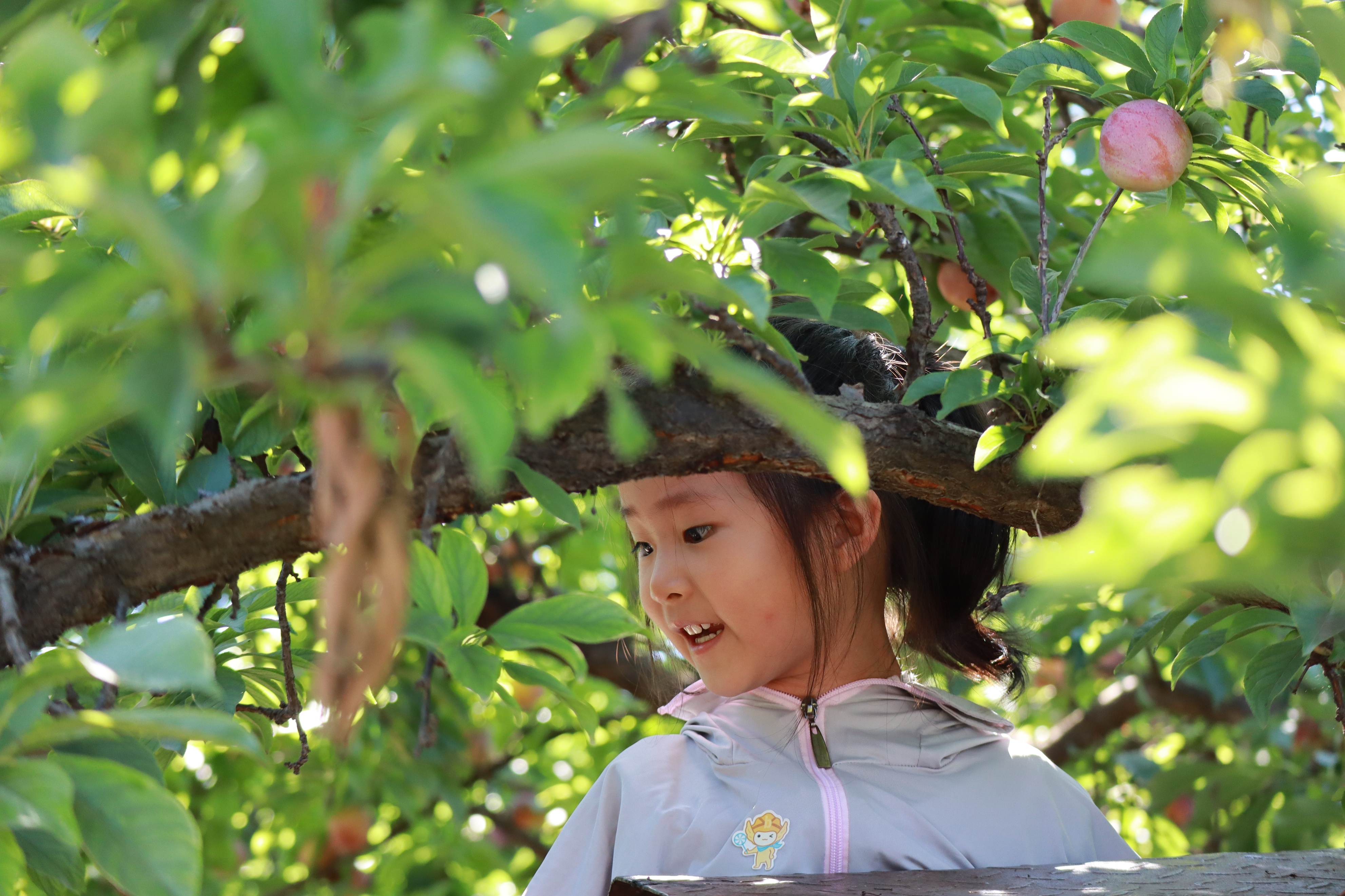 冬天天津周边徒步路线推荐,天津徒步旅游线路