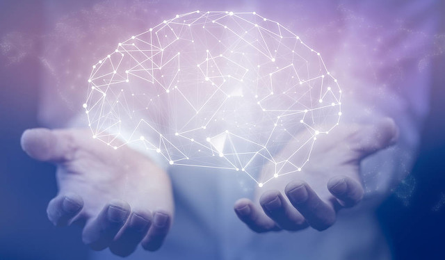 人的大脑的主要功能是控制思维,大脑控制人还是人控制大脑