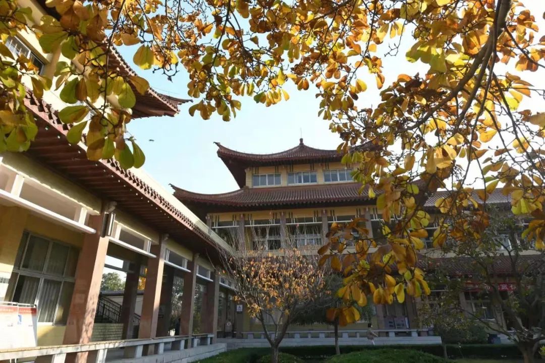 诗溢古风，畅享秋韵。秋已暮、红稀香少