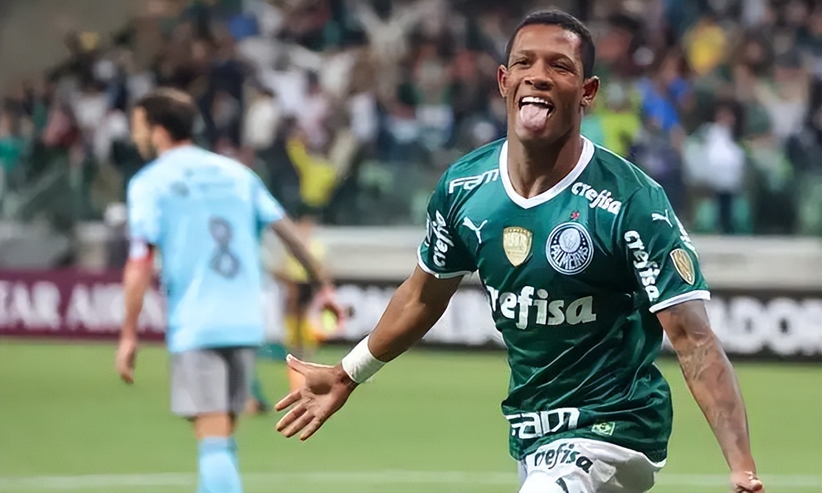 波特诺山丘vs帕尔梅拉斯比赛结果,解放者周三