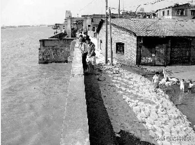 最新体校风云小说,体校风云