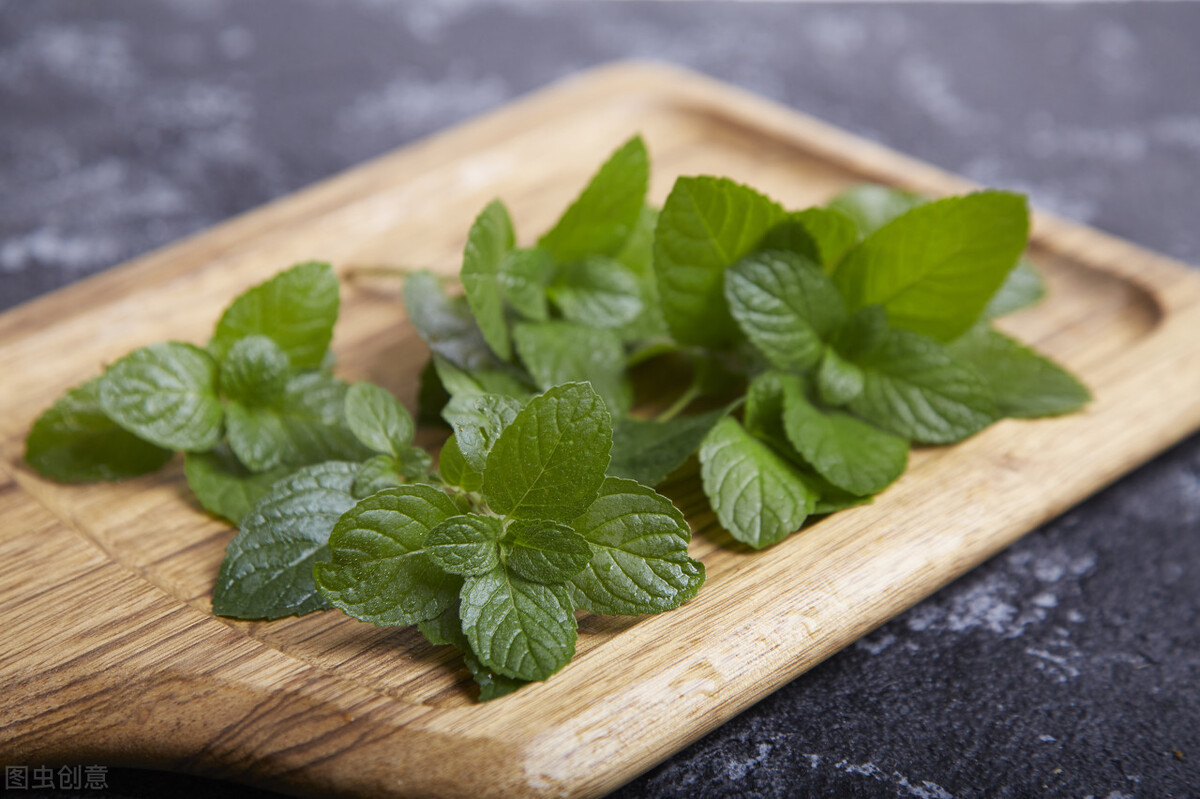 薄荷味虽美，食用需小心