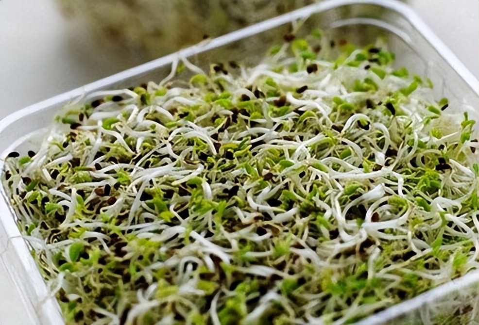 怀孕不能吃什么干货,怀孕不能吃什么水果啊