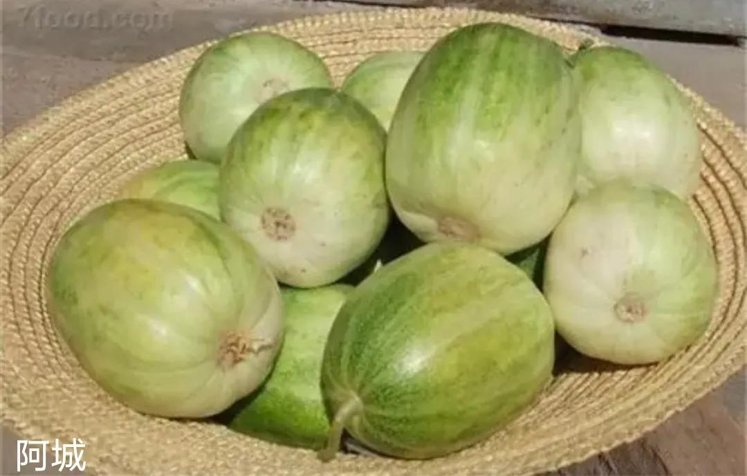 垂涎欲滴的瓜世界：瓜田李下说吃瓜，一片冰心香满园