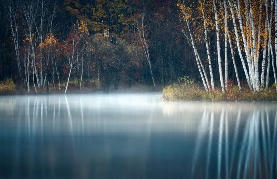 关于寒露的唯美诗句,寒露诗词最美佳句