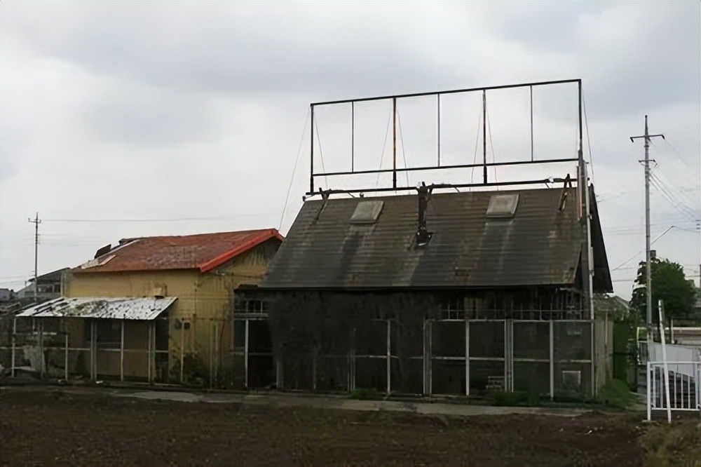 去世的网红二哈,网红二哈不见了