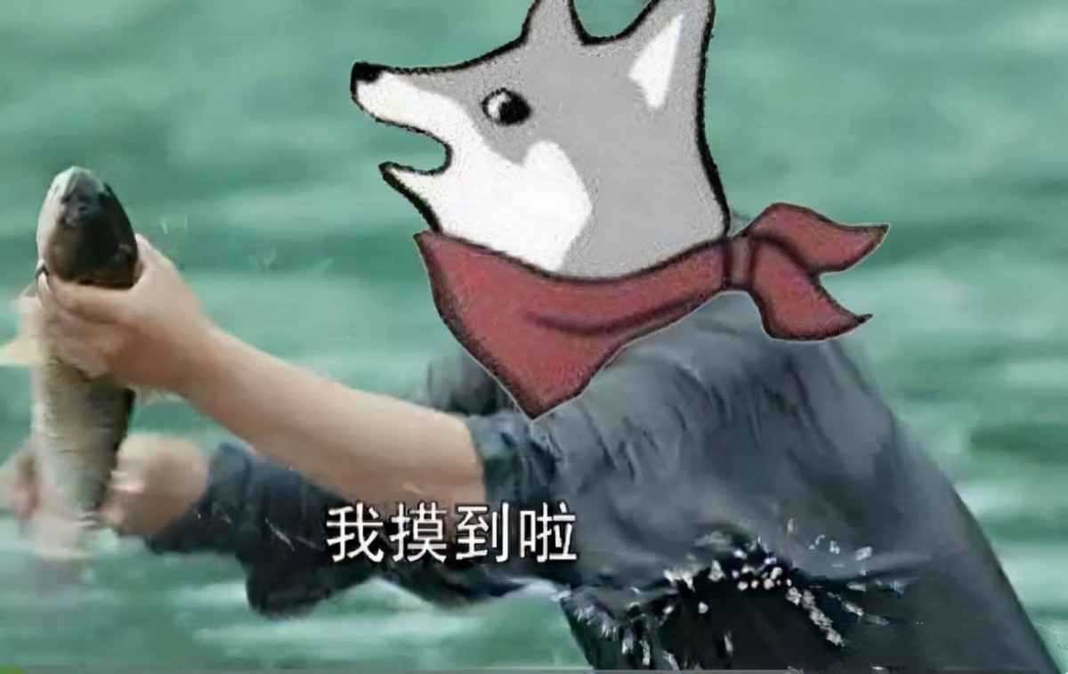 50块钱左右的3a大作,steam秋促3a大作