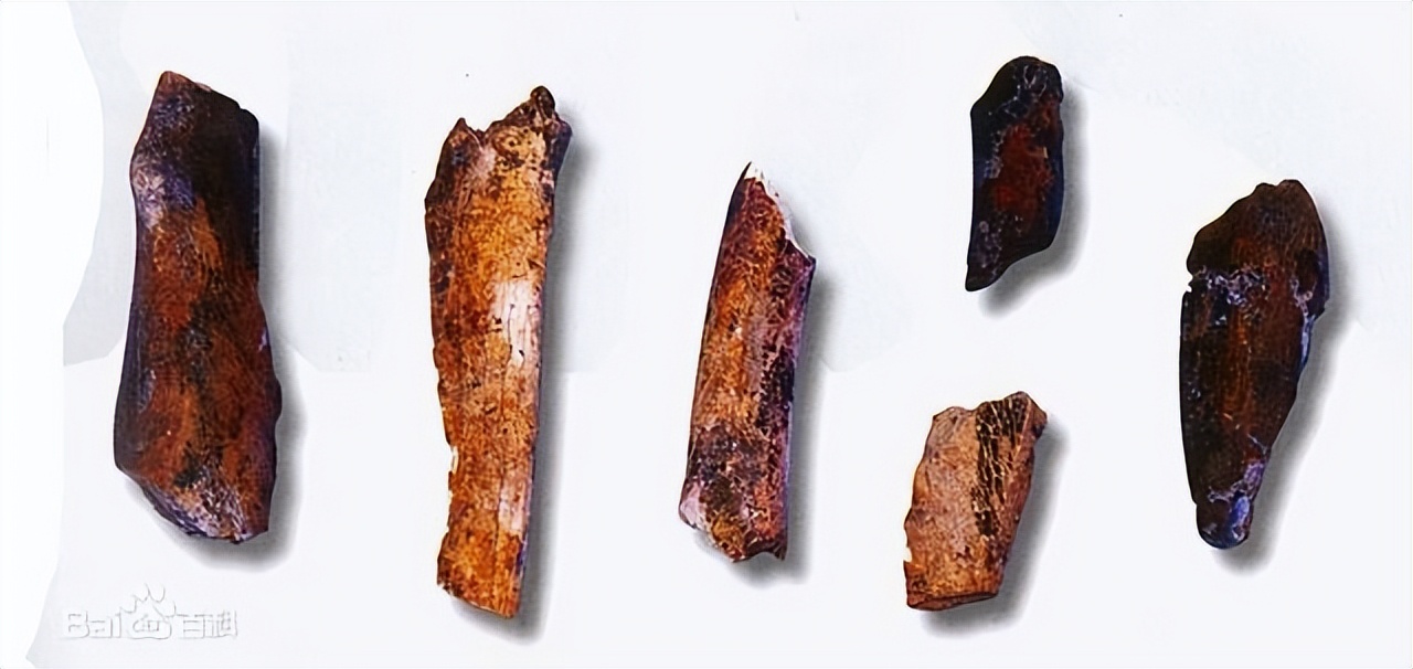 山顶洞人的原始生活,山顶洞人生活在距今约多少万年前