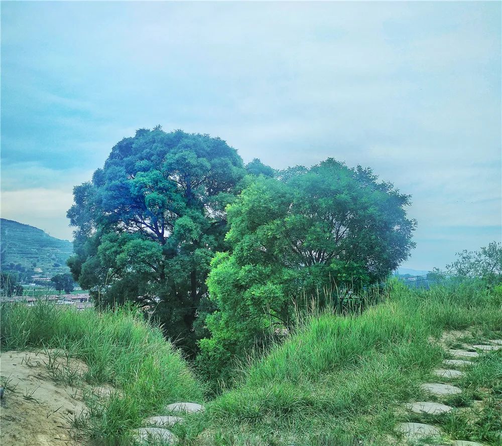 大美崇信，诚信之城欢迎您！