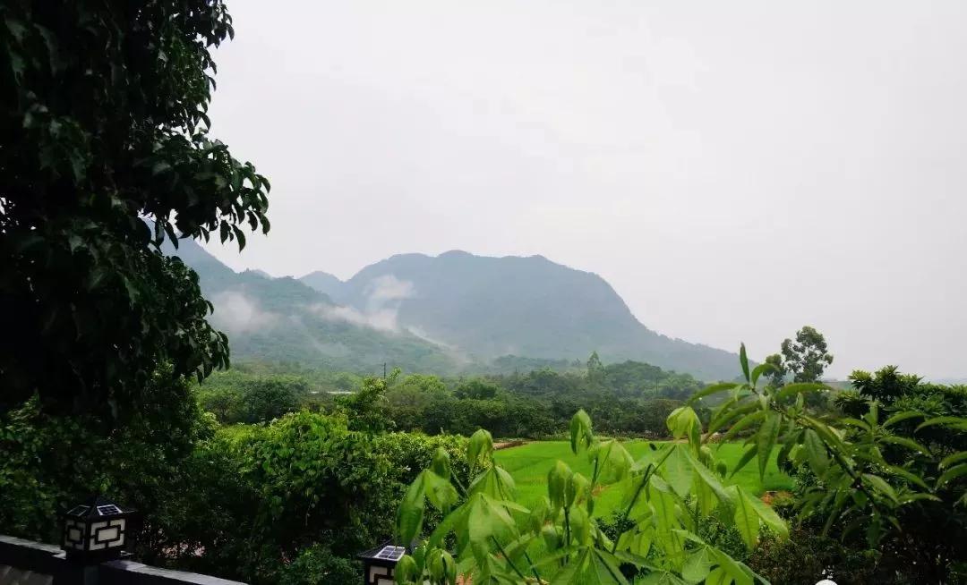 增城小众山野田园民宿,广州增城新晋网红民宿出炉