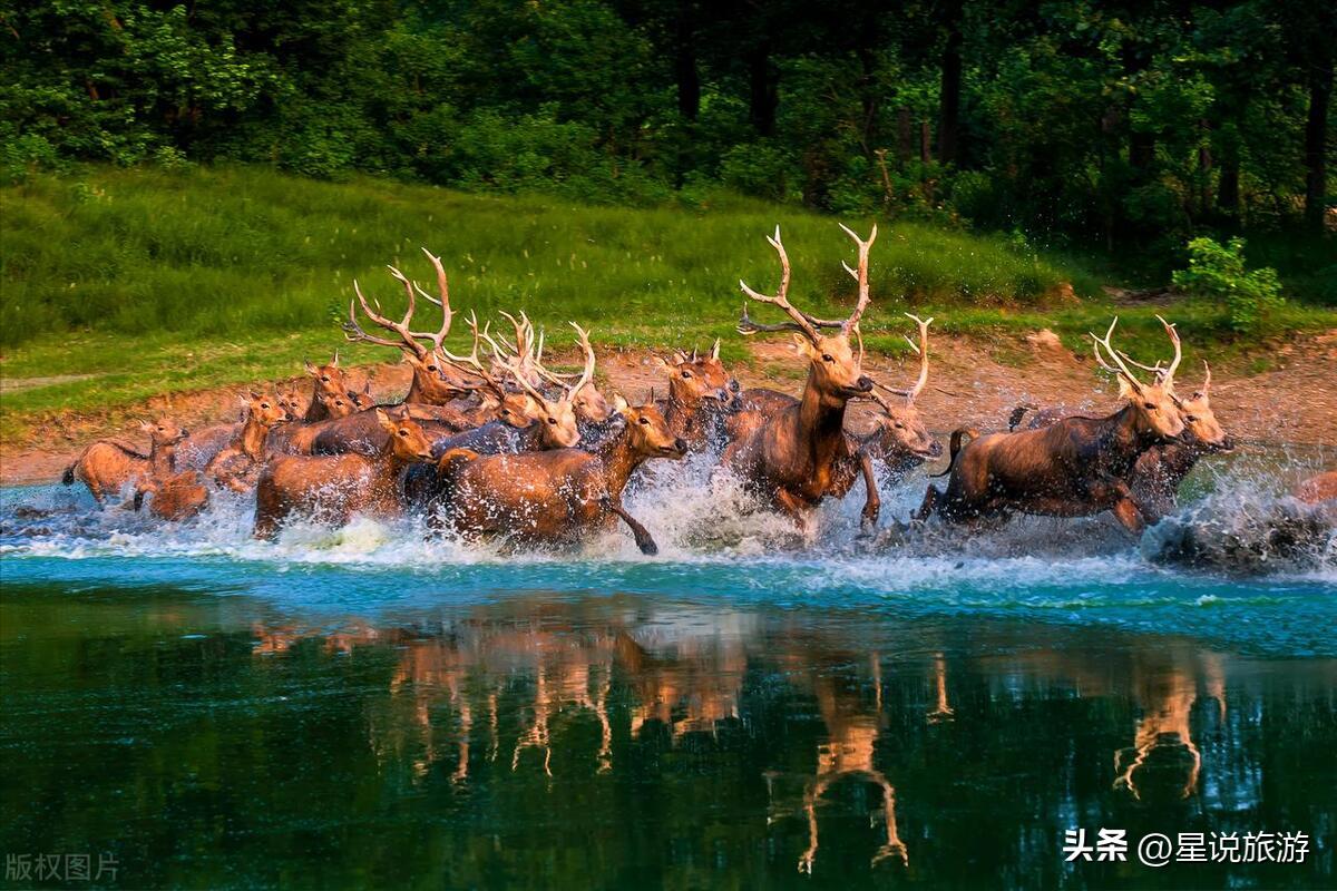 江苏新增8家4a级旅游景区有哪些,2020江苏人气最旺景区是哪里