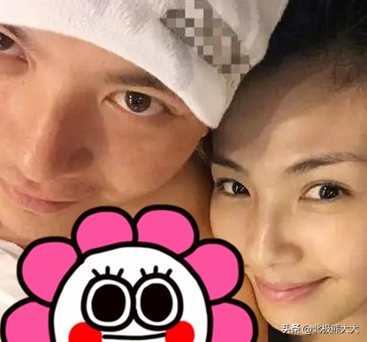 从贤妻到女强人刘涛都经历了什么,贤妻刘涛真实身份