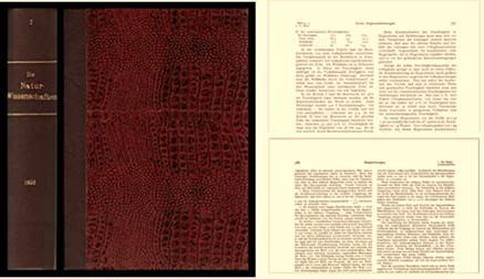 哪些伟大的发现是数学算出来的,一些伟大的发现