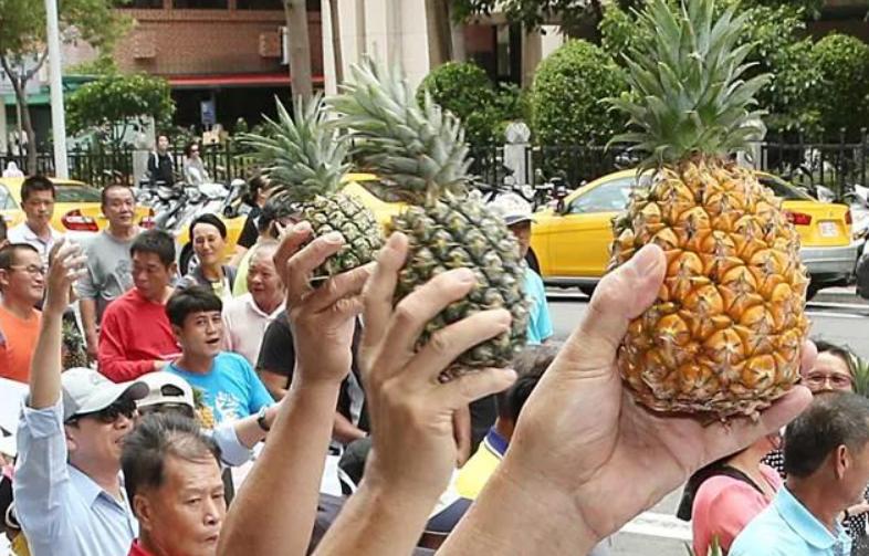 班班吃凤梨？台湾菠萝被日本拒收，台官方竟强行投喂全岛中小学