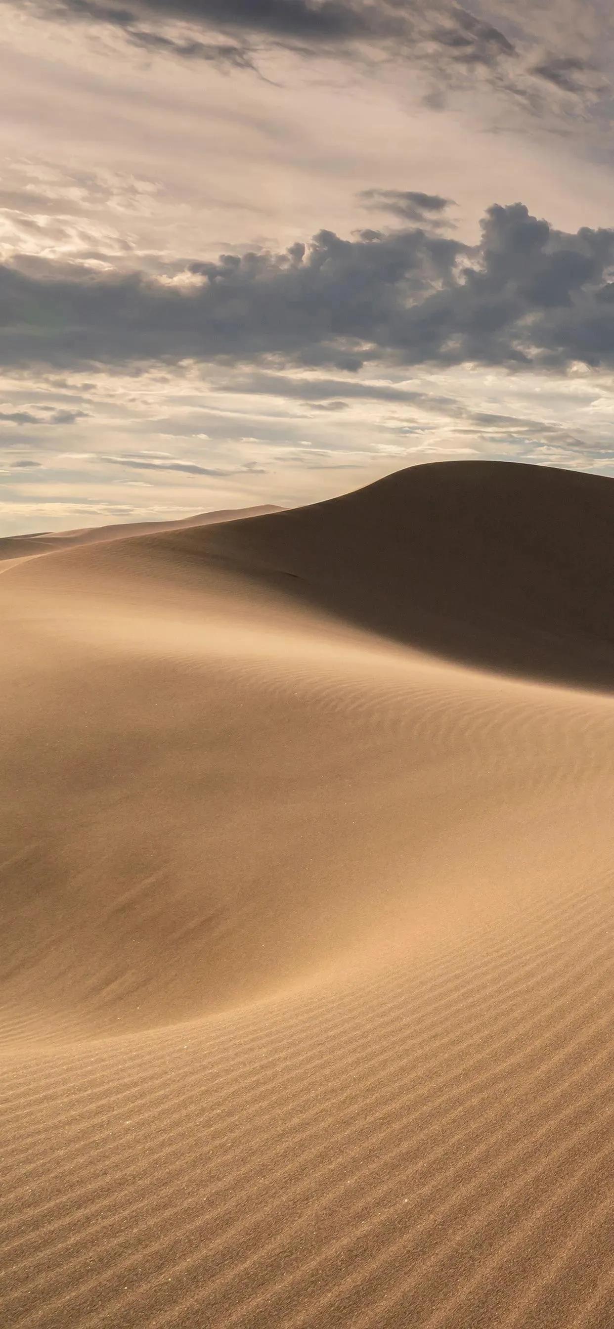 沙漠壁纸图片大全高清,苹果专用沙漠壁纸全屏