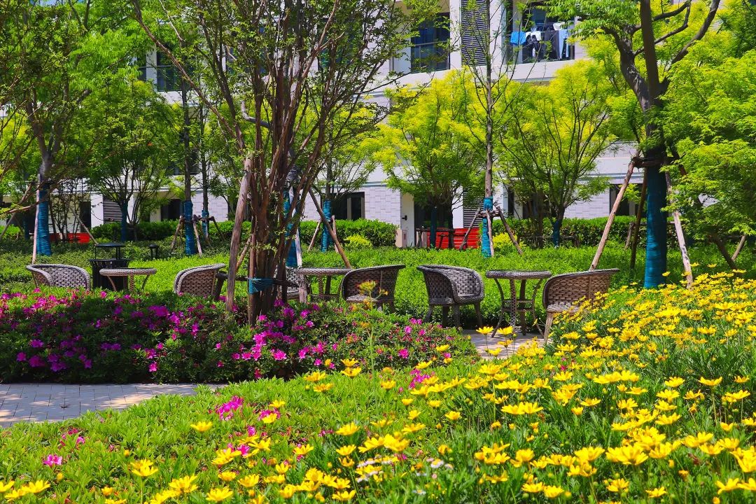 钃濊帗璇勬祴鍙戝０,钃濊帗璇勬祴2019