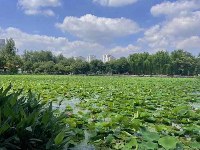 昆明丽江香格里拉旅游攻略,从昆明到大理丽江的旅游攻略