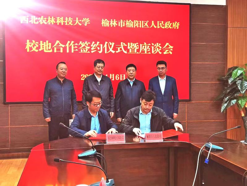 打造新型产业集群服务乡村振兴,做强主导产业助推乡村振兴