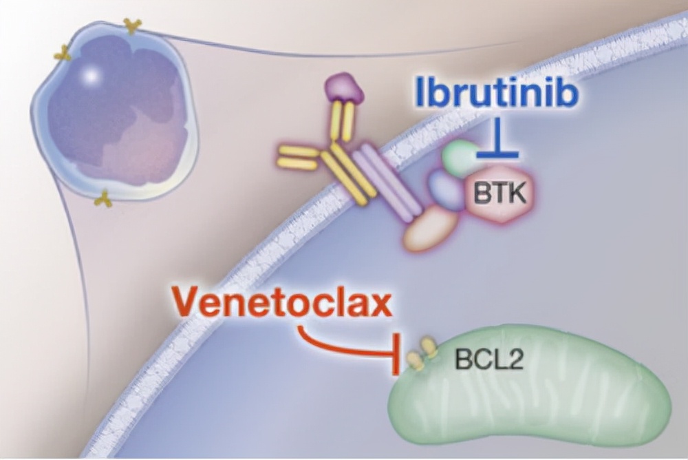 肿瘤领域的发展及看法,肿瘤临床试验有哪些平台