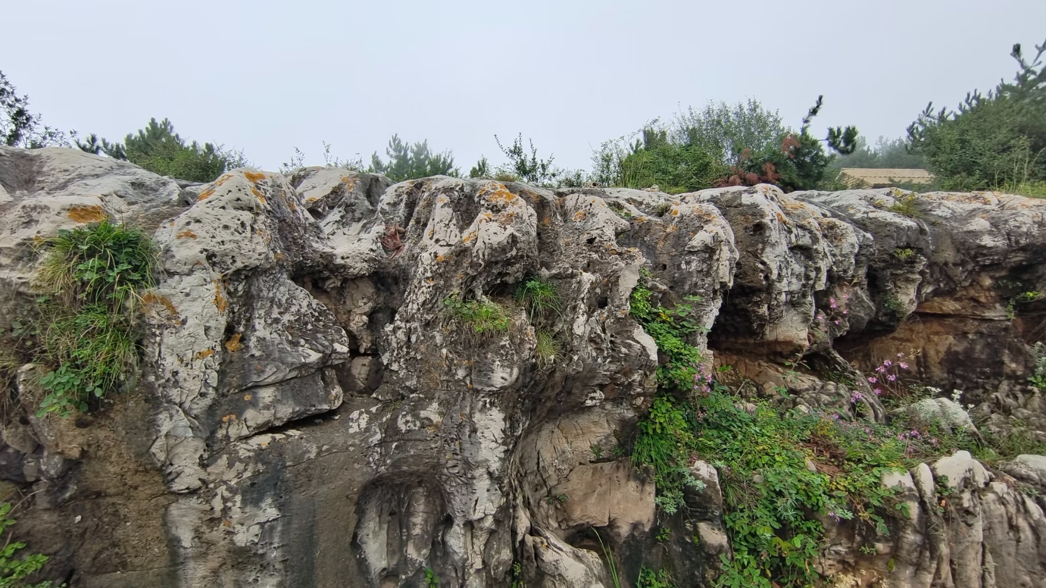 太行山脉徒步穿越,南太行十字岭徒步王莽岭
